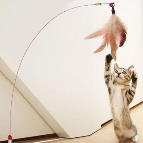 Natural Pearl Feather Cat Stick Durable Interactive Pet Toy With Bell For Cat Funny Pet Stick For Exercising Cat Responsiveness