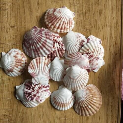 30pcs natural Decoration Beach Fashion hole Seashells Sea Shells for DIY Caft Decor Jewelery Craft Accessories holes Shell Charm