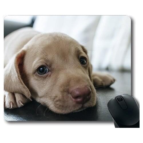 Lovely Pug Dog Gaming Mouse Pad,Dog Puppy Blue Eyes Blue Eye Pet Look Cute,dogs mouse mat