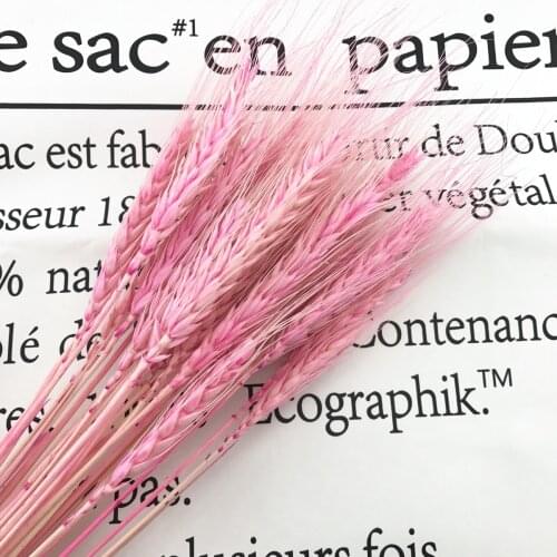 45pcs Denisfen Colorful Wheat Bouquet Dried Flower Decorative Floral DIY Home Arrangements Wedding Decoration Accessories Flores