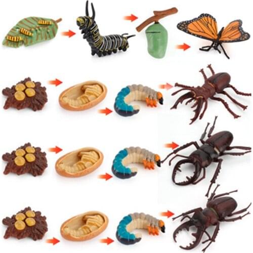 Simulation Wild Animal Model Toy Action Figures Unicorn butterfly Growth period Educational Toy Simulation for Children Figure