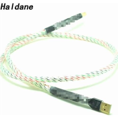 Haldane Free Shipping 1Pair USB Cable High Quality Type A to Type B Hifi Data Cable Hifi Silver Plated shield USB Cable For DAC