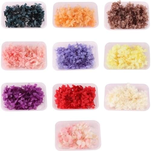 1 Box Dried Flowers UV Resin Decorative Natural Flower Stickers 3D Dry Beauty Decal Epoxy Mold DIY Filling Making Craft