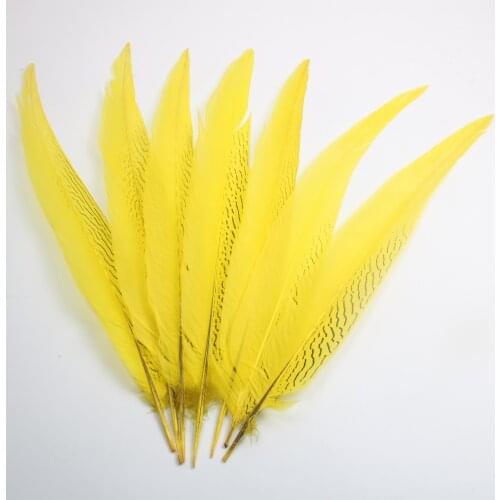 DIYFEATHERS Decorative Feathers