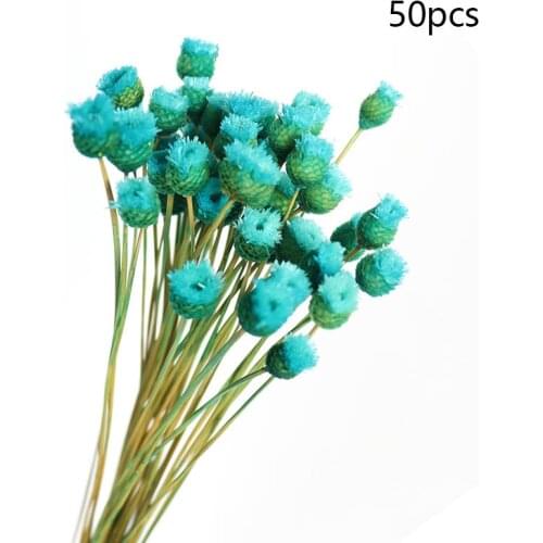 50pcs/Lot Happy Flower Natural Dried Flower Bouquet Home Decoration Real Flower DIY Flower Arrangement Shooting Props