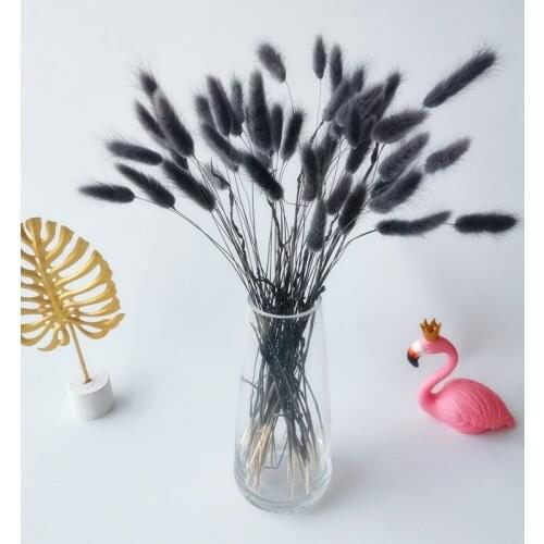 Natural Bunnny Tail Grass Dried Flowers Wedding Deco Marriage Decoration Rabbit Tail Grass Home Living Room Party Accessories