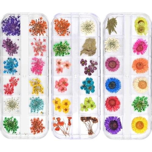 12 Colors Dried Flowers Nail Art Decorations 3d Natural Daisy Gypsophila Preserved Dry Flower DIY Stickers Manicure Accessories