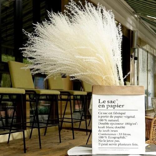 20pcsFree Shipping buddha dust flower reed pampas grass natural dry flower bunch homestay prop flowers