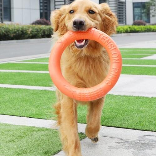Dog Accessories Pet Flying Discs EVA Dog Training Ring Puller Resistant Bite Floating Toy Puppy Outdoor Interactive Game Playing