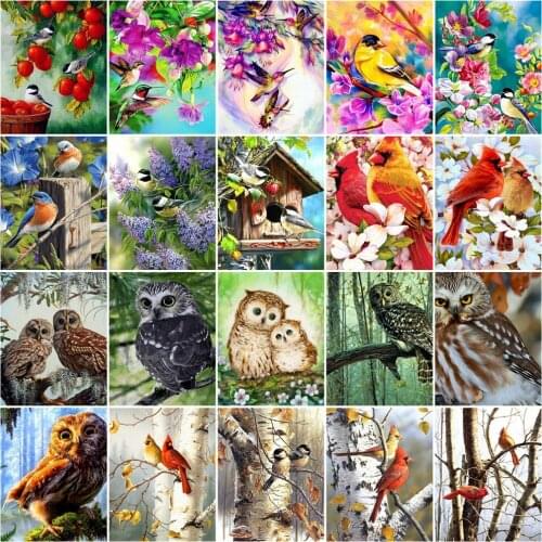 HUACAN Paint By Numbers Bird Animal Wall Art Unique Gift Hand Painted On Canvas Picture By Numbers Tree For Living Room
