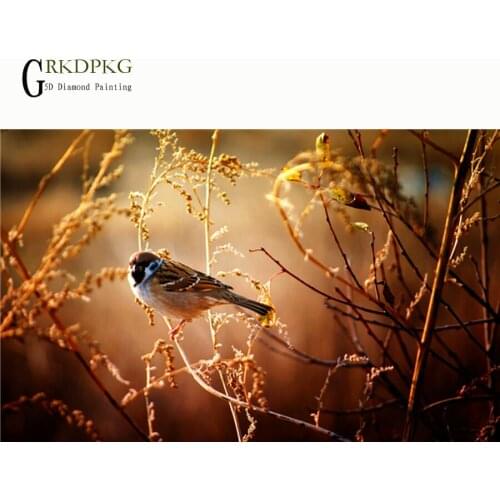 Bird 3d diamond embroidery 5d DIY diamond painting cross stitch full square rhinestone mosaic,animal,unfinished home decoration