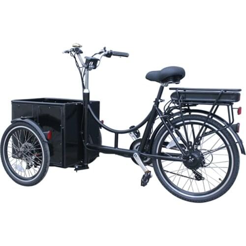 250W Mini Electric Cargo Bikes 3 Wheel Electric Bicycle Adult Bike Kid Tricycle Multifunction Shopping Trolleys Cart for Sale