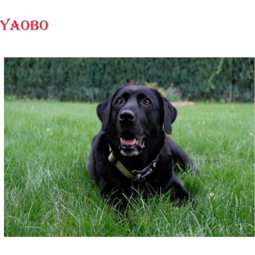 5d DIY Diamond Embroidery full square Diamond Painting black Labrador Puppies Dog,Cross-Stitch Mosaic Picture Of Rhinestones