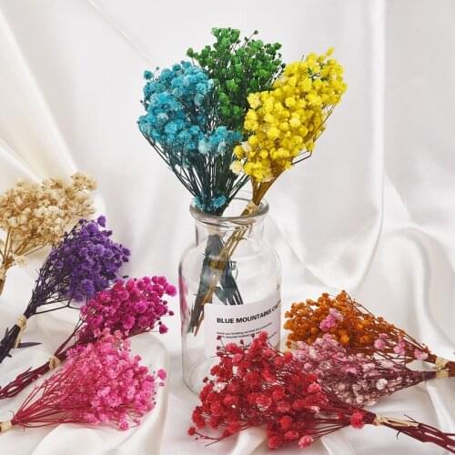 A Bunch Of Mini Natural Dried Flowersfresh Preserved Flowers Bouquet Decoration Photography Photo Background Decoration