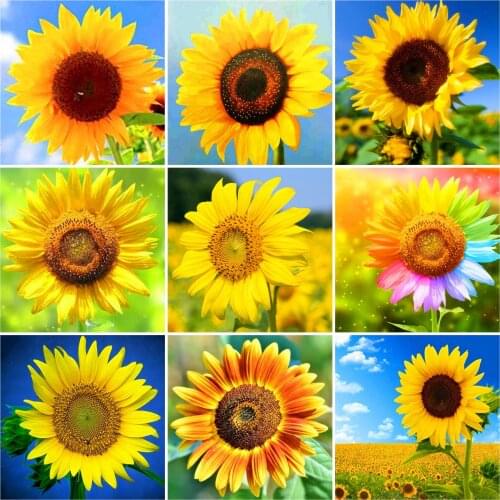 HUACAN Diamond Art Painting Kits Sunflower Pictures Of Rhinestones Diamond Embroidery Cross Stitch Flower Mosaic Wall Art