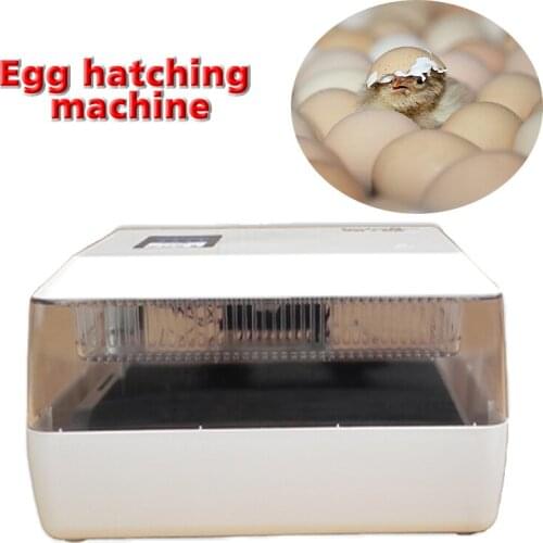 1pc Mini Egg Incubator for 60 Chicken Eggs, 40 Duck Eggs, 90 Quail Eggs AC220V/DC12V 60 egg automatic incubator machine