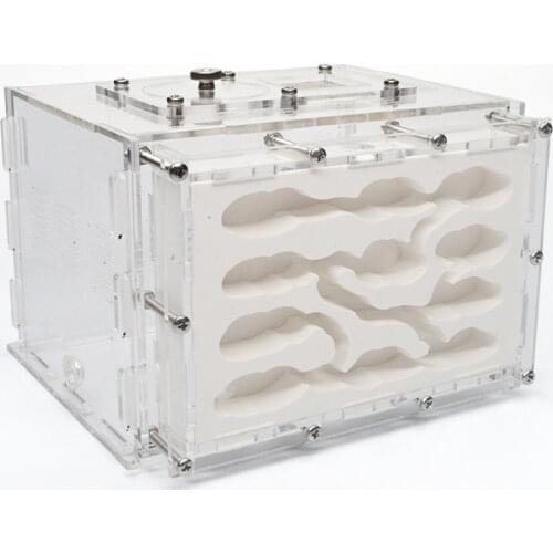 New DIY Gypsum Ant Farm Plaster Ant Nest with Feeding Area Moisturize Ecological Ant House Workshop for Pet Anthill Hot Sale