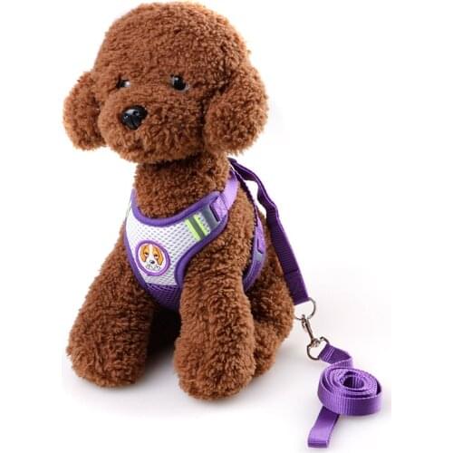 2021 Dog Leashes Harness Sets Strong Nylon For Small Dog Cat Traction Summer Walking Clollar Leads Pet Products Supplier