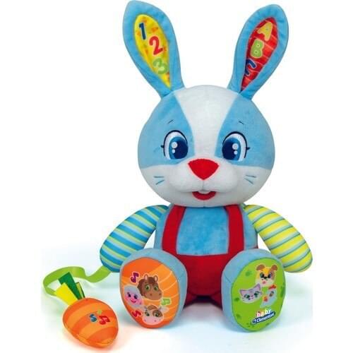 Educational Cute Rabbit