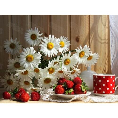 Diy Diamond Painting Nordic Style Small Fresh Plant World Asteraceae Small Daisy Beautiful Living Room Porch Decorative Painting