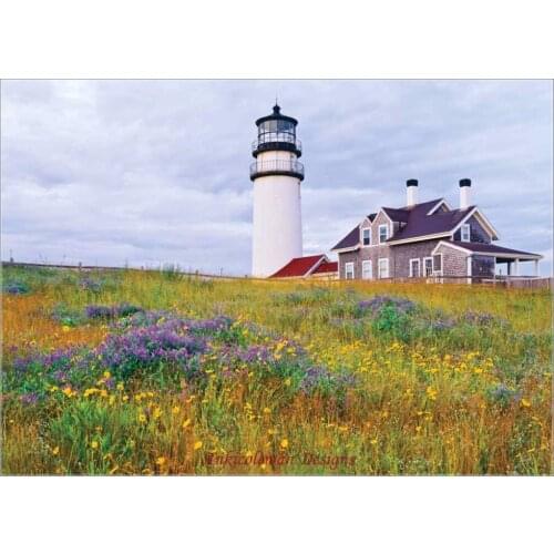Needlework for embroidery DIY DMC High Quality - Counted Cross Stitch Kits 14 ct Oil painting - Wildflowers at Cape Cod Light