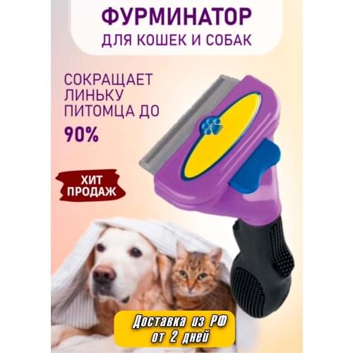 KLM STORE Pet Supplies