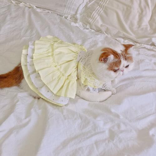 Dog Clothes Lolita Sweet Hat Set Dress Chihuahua Summer Puppy Cat Dog Dresses Shih Tzu Yorkshire Bichon Maltese Pet Clothing New