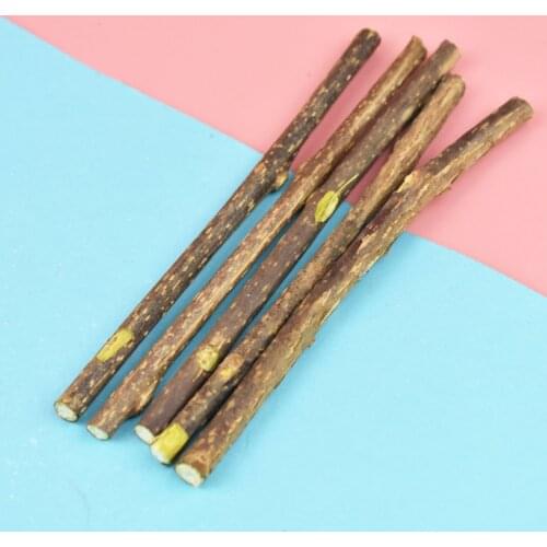 5pcs Natural Catnip Stick Cat Cleaning Teeth Molar Toothpaste Stick Silvervine Actinidia Fruit Cat Snacks Sticks Pet Cleaning