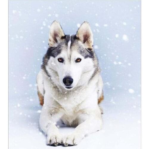 New Style DIY 5D Full Diamond Painting Cross Stitch Painting Smart Dog Diamond Embroidery Needlework Patterns Rhinestone kits