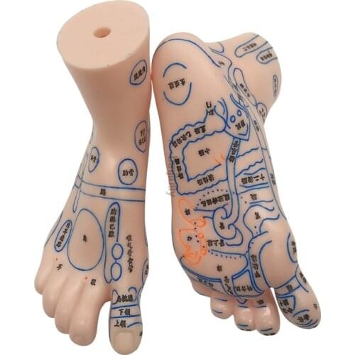 19cm Foot reflex zone massage model, not acupuncture model, Chinese code TCM Feet Reflexology, 1 pair