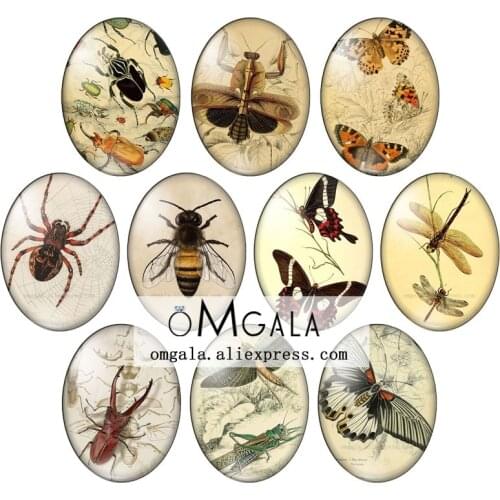 Vintage Butterfly dragonfly bee insect 10pcs 13x18mm/18x25mm/30x40mm Oval photo glass cabochon demo flat back Making findings