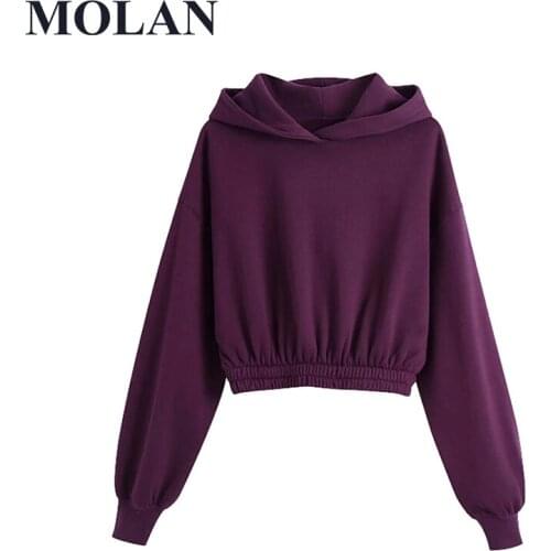 Hoodies Women Fashion Elastic Hem Cropped Sweatshirts Vintage Hooded Long Sleeve Female High Quality Pullovers Chic Tops