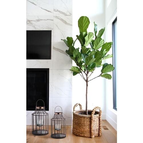 The Mia DKR0237 Lantern Wood Metal-Black-Gold 17*32 Cm