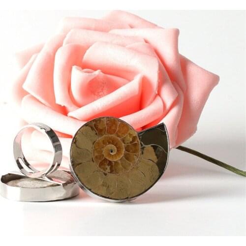Wholesale 6pcs/Lot Natural Fossils Stone Resizable Women Men Glossy Real Ammonite Conch Sea Shell Flat Classic Ring Free Size