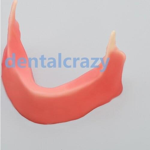 1pc dental tools model Mandibular jaw model with silcone for incision inplant sture M2027 new