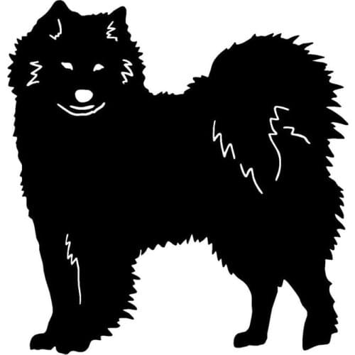 12.2*12.7CM Samoyed Dog Vinyl Decal Cute Animal Car Window Stickers Motorcycle Accessories C6-0703