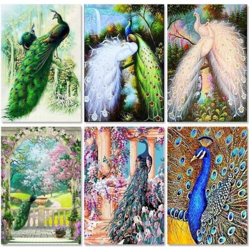 GATYZTORY Paint By Numbers For Adults Animal Wall Art Peacock Canvas By Numbers Kit Wall Pictures for Living Room Decoration