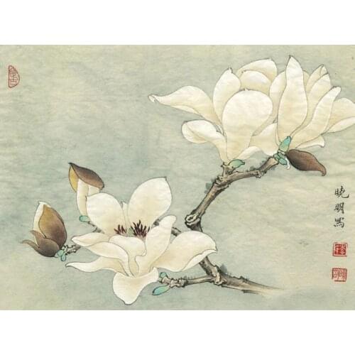 Chinese white magnolia flower scenery oil painting canvas printings printed on canvas home wall art decoration picture