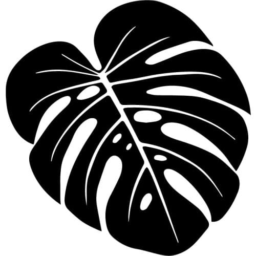 15.8X16.5CM Nature Tropical Leaf Fashion Car Decorative Scratches Stickers Vinyl Decal