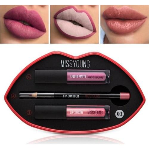 Luxury natural liquid matte lipstick lips pencil makeup lasting waterproof Matte lip gloss cosmetics lip kit