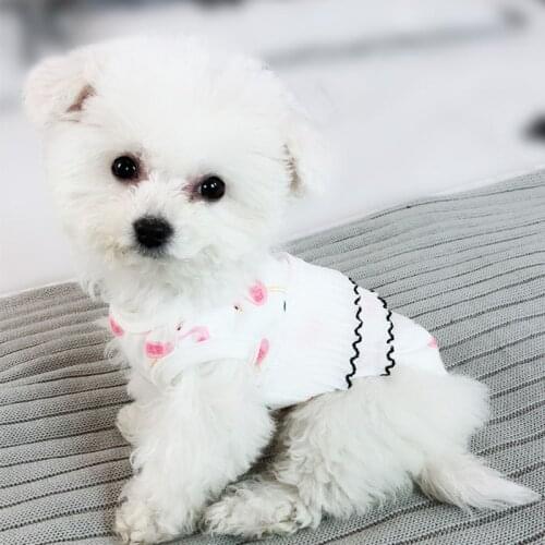 2018 Fashion Hot Spring Pet Summer Clothes for Dogs Puppy Cartoon Printing Lace Cute Pet Vest Tshirt for Cat Small Dogs S-XXL