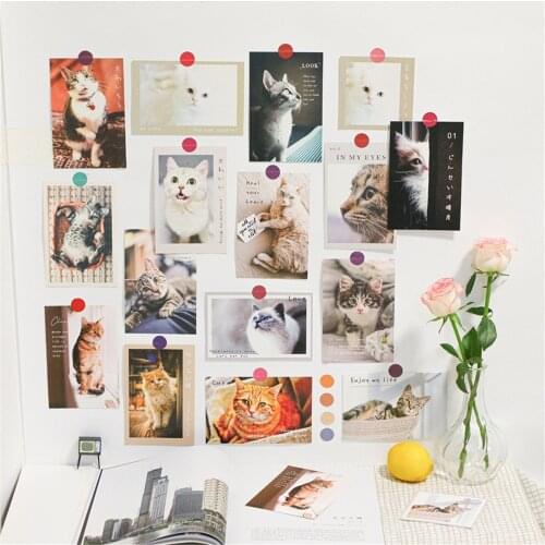 15Pcs Ins Style Cute Pet Photos Paper Card Wall Stickers Pet Dogs and Cats Mug Shot Squirrel Rabbit Room Decoration Accessories
