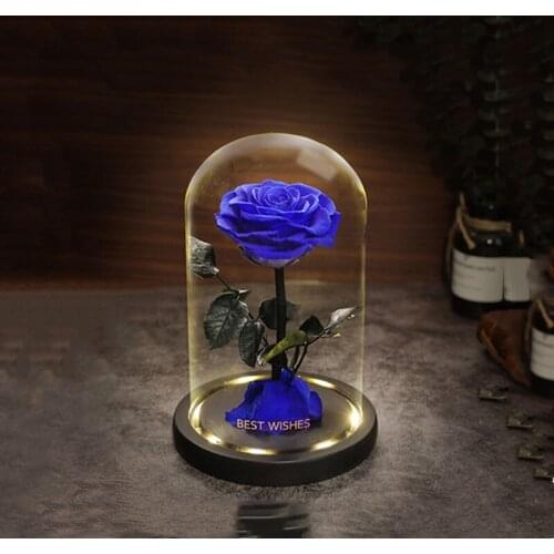 Free Shipping 10*12cm Small Size Luminous Black Base Glass Dome Vase Home Decoration Friend Gift Wedding Live Prop