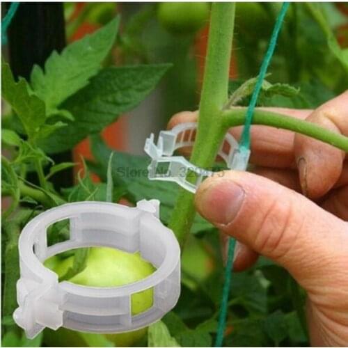 DHL 500bag 50pcs/bag Tomato Garden Plant Support Clips garden ornaments for Greenhouse Tomato Plant Grafting Clips