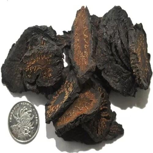 Desertliving Cistanche Rou Cong Rong Cistanches Herba for Health and Beauty