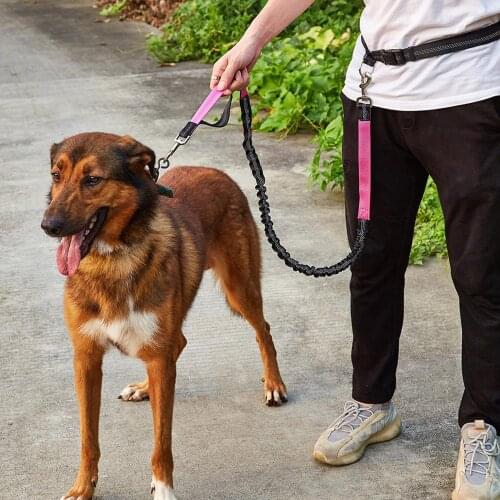 Dog Leash in Advanced Reflective Elastic Running ,Explosion Proof with 2 Metal Buckles Belt Dog Leash for Running,Training