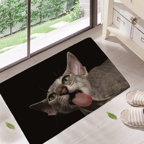 Lovely Dog Painting Dogs cat Carpets Anti-slip Floor Mat Outdoor Rugs Animal Front Door Mats 40x60 GA14