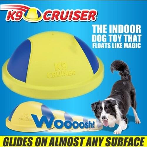 Dog Play and Education Toy