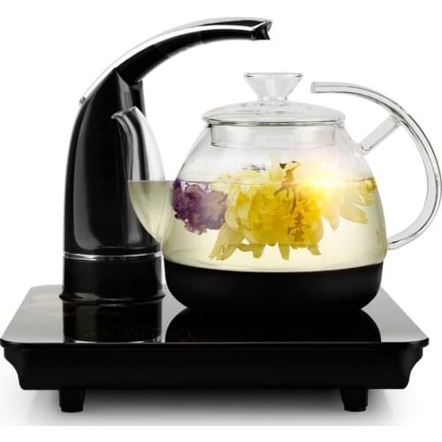 Electric kettle Fully automatic water electric heating health pot