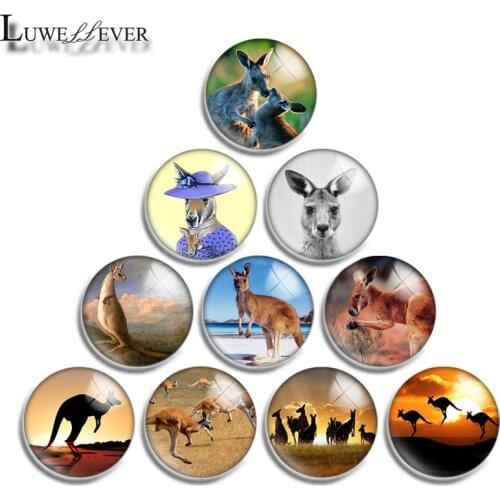12mm 14mm 16mm 20mm 25mm 30mm 567 Kangaroo Mix Round Glass Cabochon Jewelry Finding 18mm Snap Button Charm Bracelet